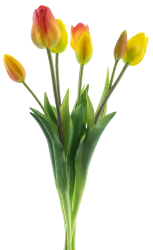 CLASSIC MIX TULIP  X7 YEL/ORG 47CM