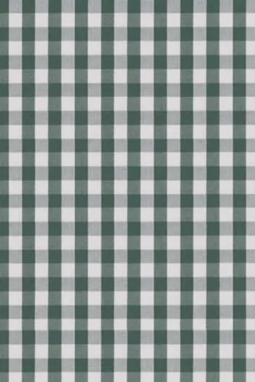 Green Check Shirt