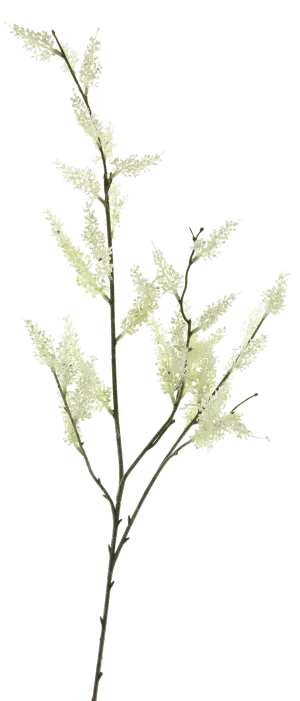 HEATHER SPRAY CREAM 103CM