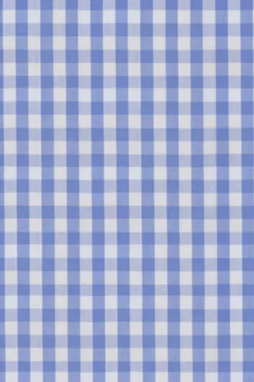 Light Blue Check Shirt