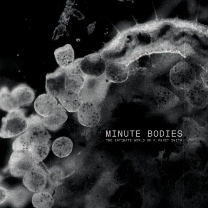 Minute Bodies [CD/DVD]