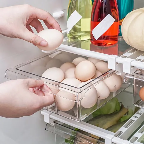 Pull-Out Refrigerator Egg Drawers