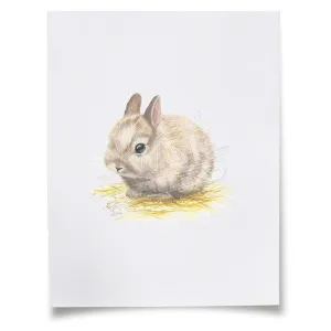 "Barnyard Littles" - Bunny - Individual Paper Print - Unframed - 11" x 14" - Multi