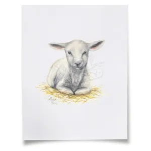"Barnyard Littles" - Lamb - Individual Paper Print - Unframed - 11" x 14" - Multi