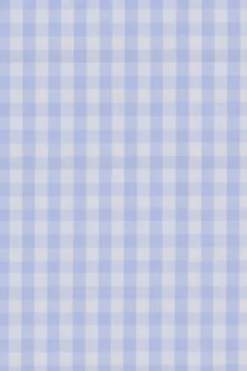 Sky Blue Check Shirt