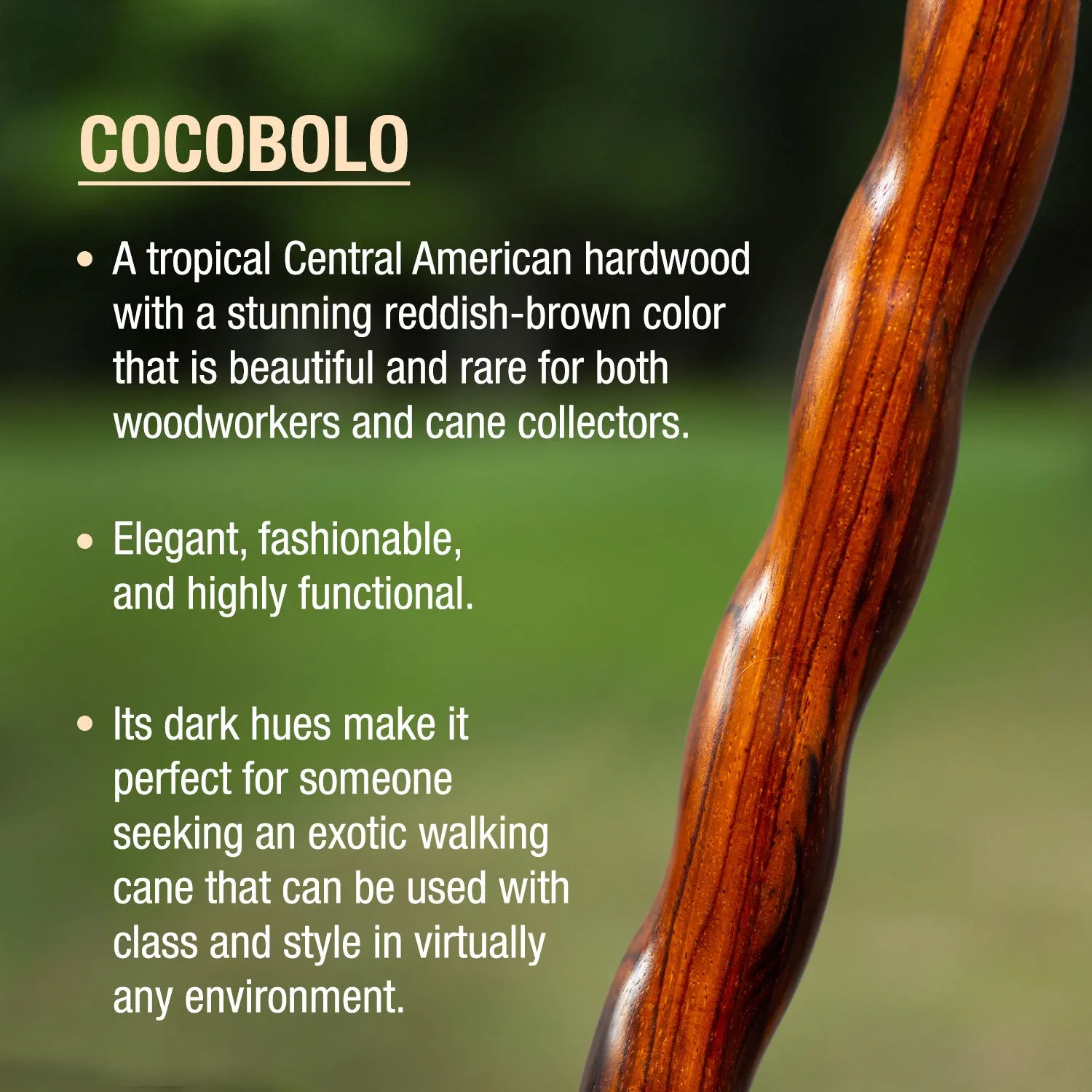 Twisted Cocobolo Traditional Handcrafted Walking Cane 37"